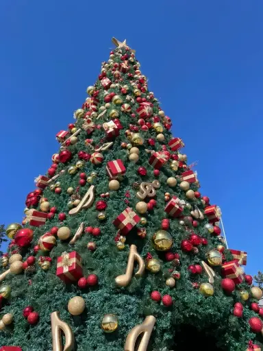 Fiestas navideñas Tocopilla 2024